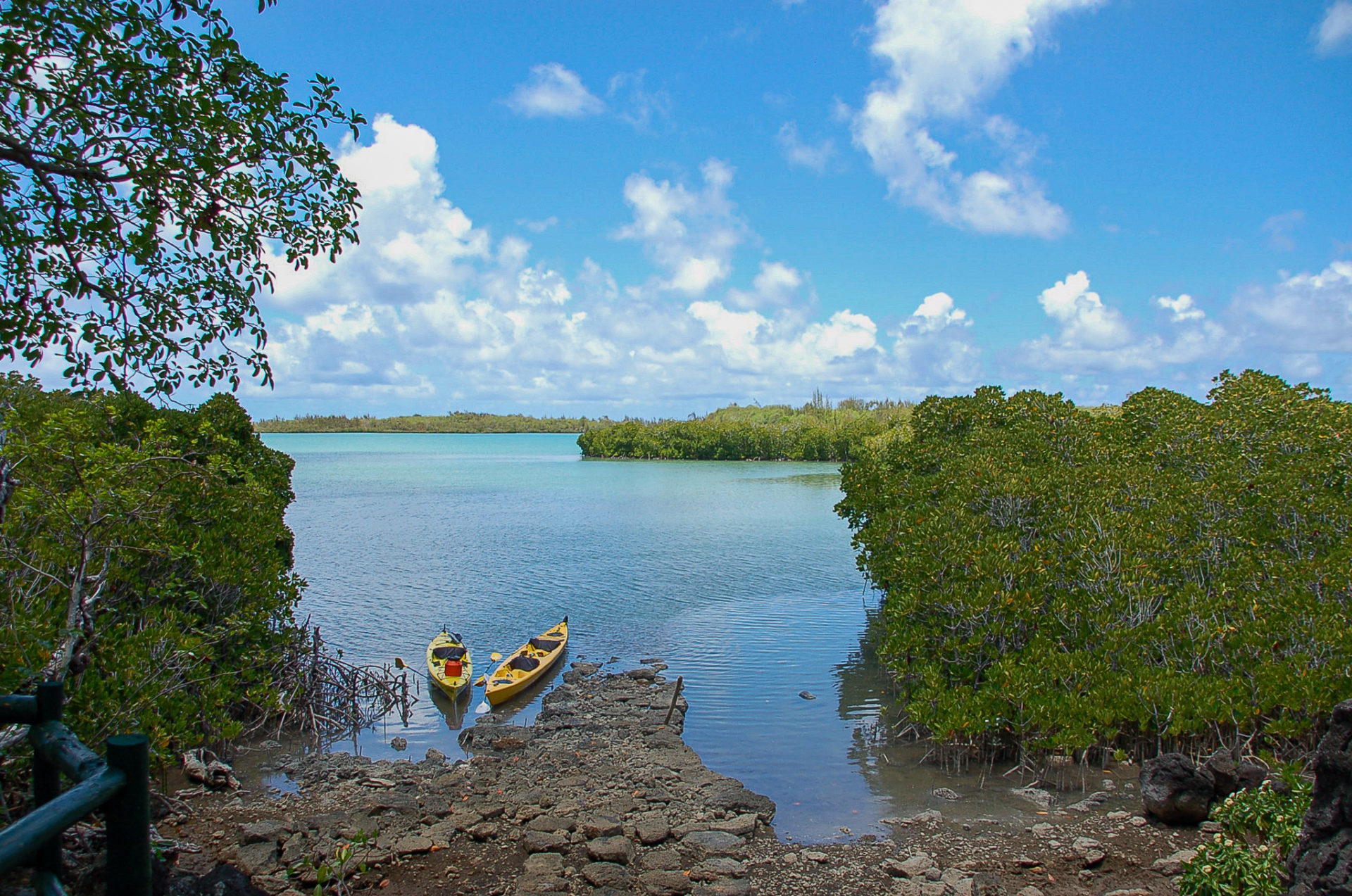 Kajaktour durch die Mangroven bei Amber Isalnd im Nordosten von Mauritius