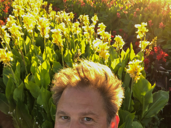 Autor vor einem blühenden Feld aus Lilien