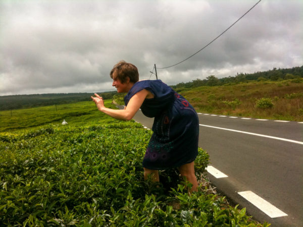 Die unbekannten Seiten von Mauritius: Teeplantage Bois Cheri im Hochland von Mauritius