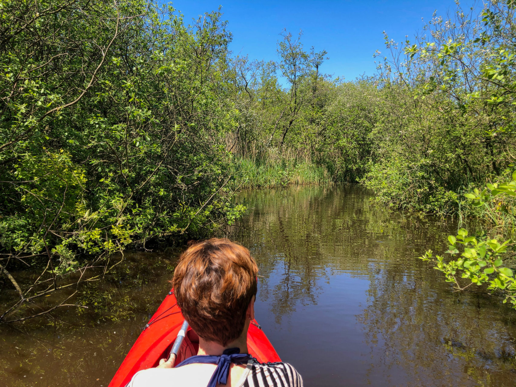 Frau während einer Kanutour im Nationalpark Alde Faenen im niederländischen Friesland