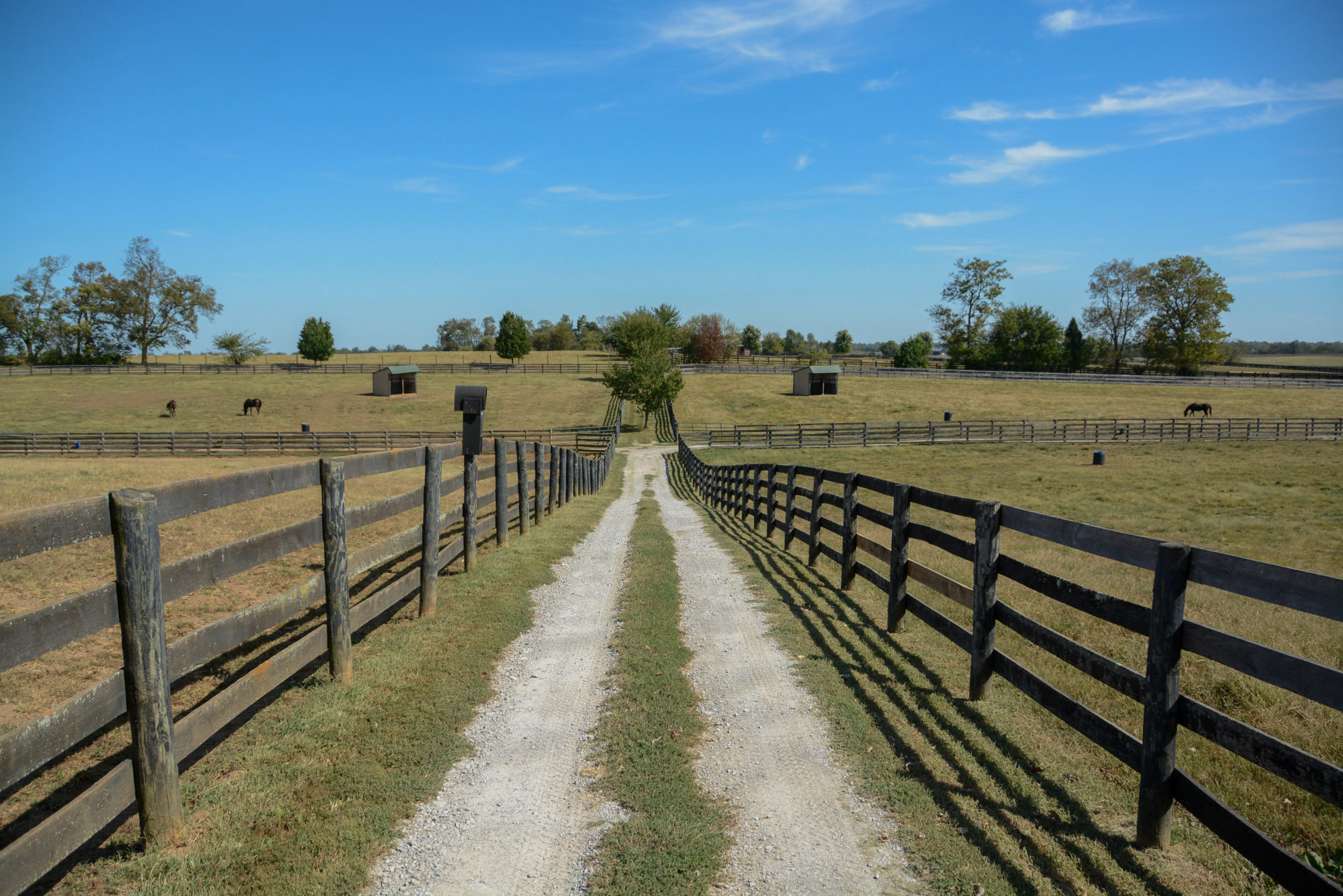 Jedes Pferd hat seinen eigenen Hektar bei Old Friends in Kentucky