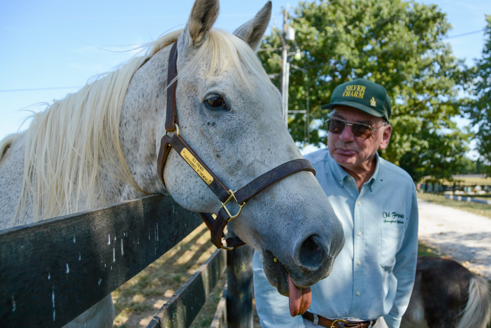 Filmkritiker Michael Blowen mit seinem Lieblingspferd Silver Charm bei Lexington