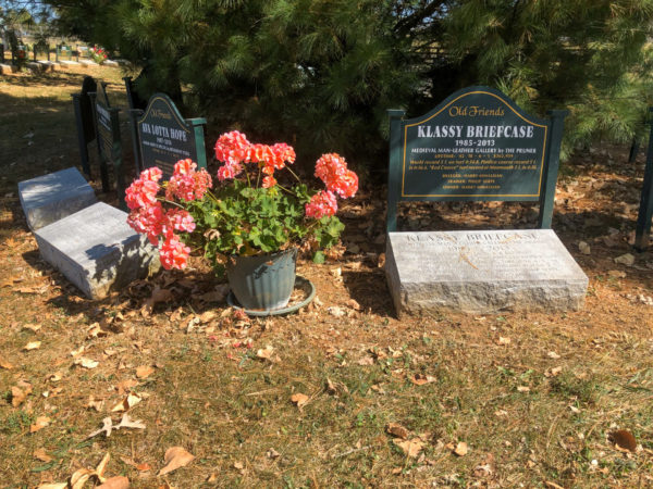 Friedhof für Rennpferde bei Old Friens in Kentucky