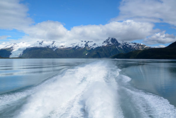 Die MS Klondike zieht eine Spur durch den Prinz-William-Sund in Alaska