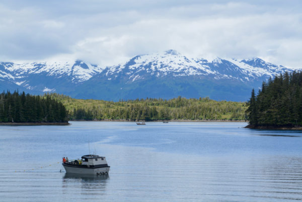 Sportfischer bei der Minikreuzfahrt in Alaska