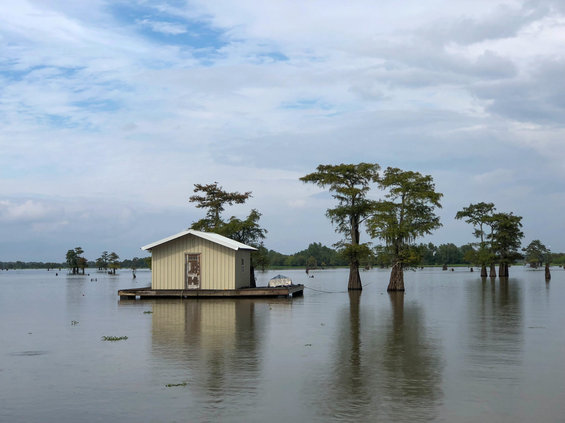 Die Bayous von Louisiana das Mündungsdelta des Mississippi