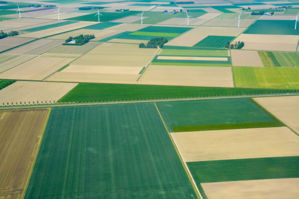 Bunte Felder mit Windrädern in der Provinz Fleoland, die die Niederlande dem Wasser abgerungen haben