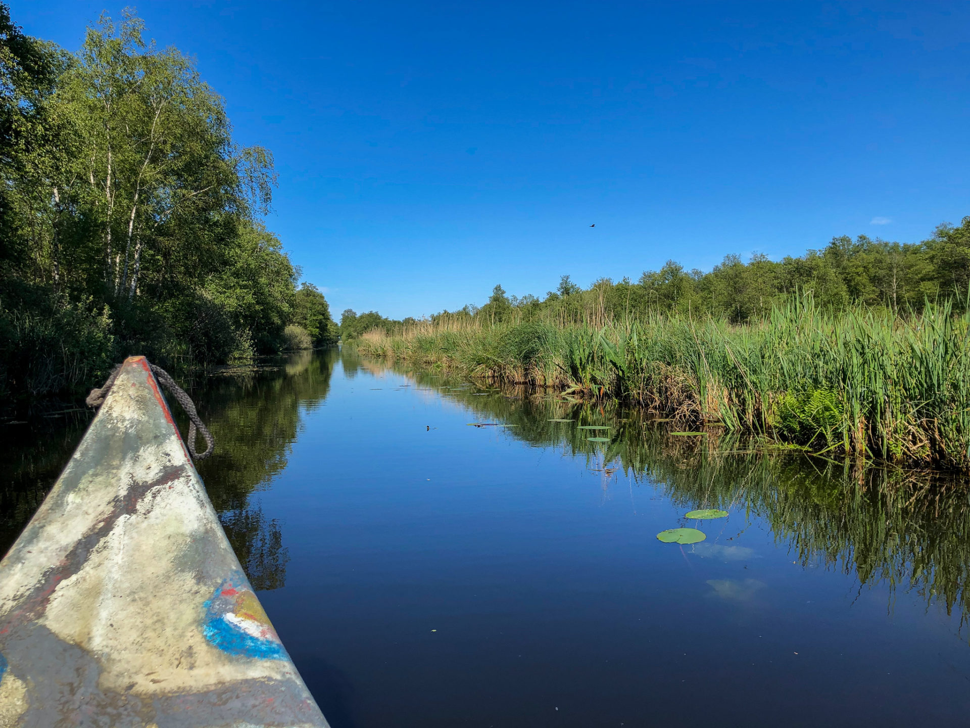 Kanutour durch den Nationalpark Weerribben-Wieden in den Niederlanden