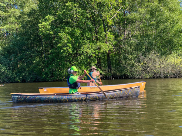 Zwei Kanufahrer beim Wassersport im Nationalpark Weerribben-Wieden