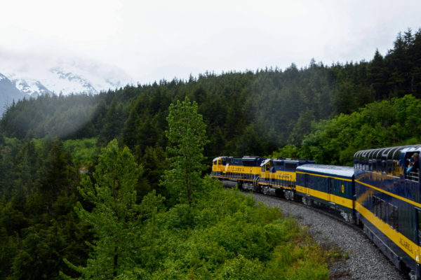 Der Zug der Alaska Railroad bahnt sich seinen Weg durch Wald und Berge
