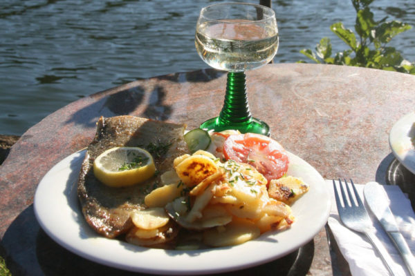 Abendessen mit Zander und Wein bei der Bootstour durch Mecklenburg