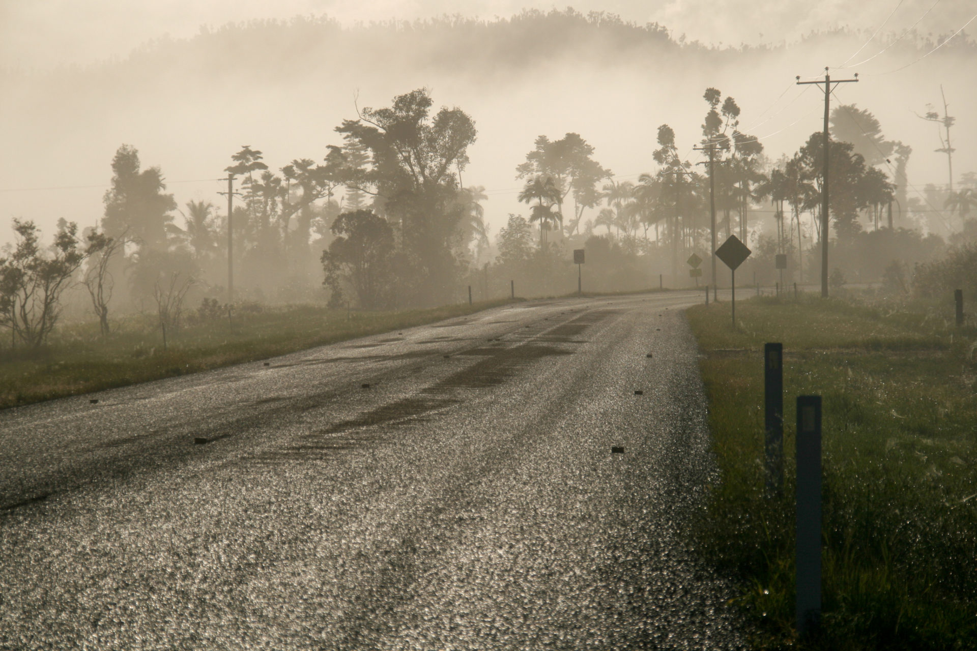 Tropische Vegetation im Morgennebel über einer Straße in Queensland