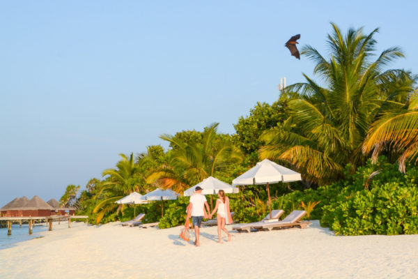Verliebtes Pärchen am Strand von Mirihi Island auf den Malediven mit Flughund