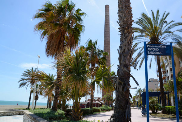 Der Paseo Maritimo Antonio Banderas mit Palmen in Málaga