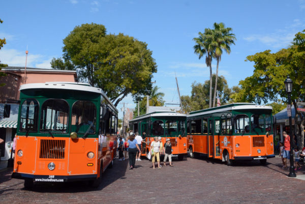 Drei Trolleys für Rundfahrten durch Key West