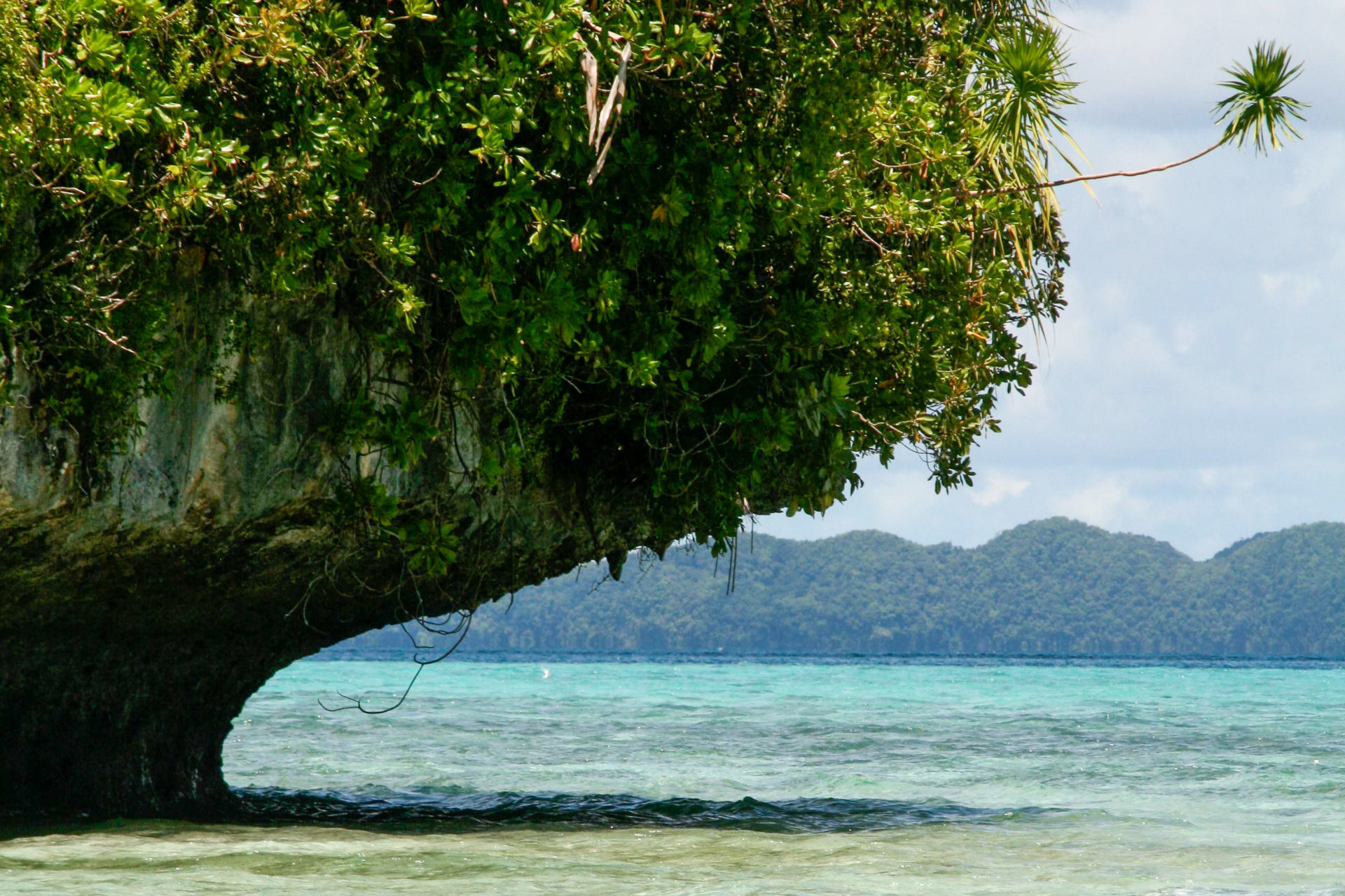 Mangrove bei Palau mit Ozean und Insel im Hintergrund
