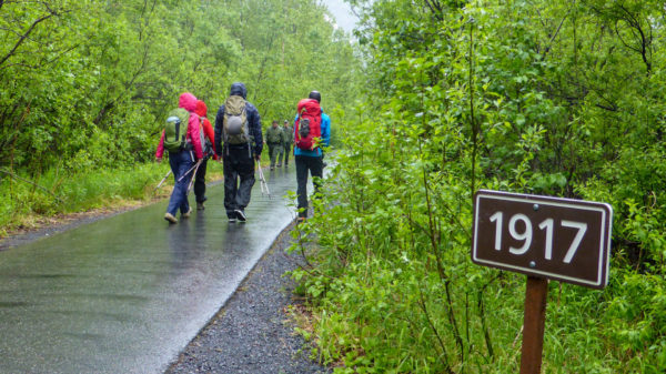 Wanderer im Regen auf dem Weg zur Gletscherwanderung in Alaska