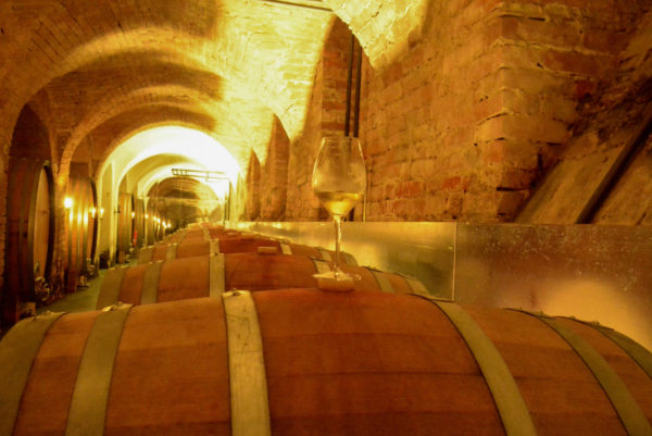 Weinglas balanciert auf einem Fass in einem Gewölbekeller von Schloss Salem bei der Weintour am Bodensee