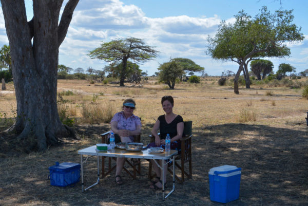 Tochter und Mutter beim Picknick während der Safari