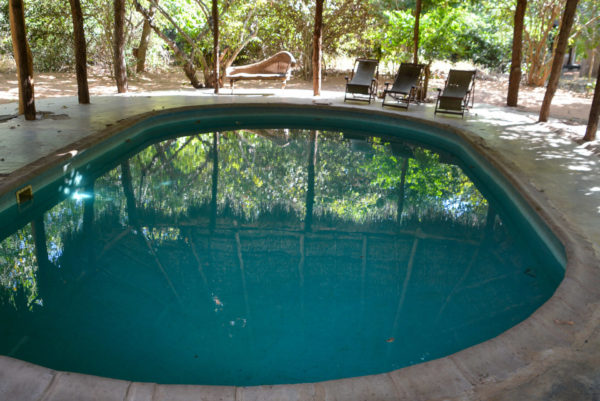 Pool im Jimbiza-Camp in Tansania