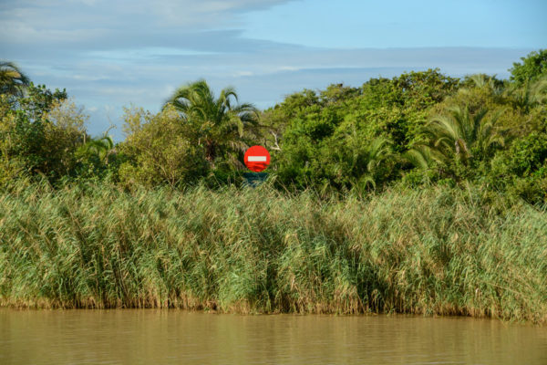 Schild verbotene Einfahrt an der dschungelartigen Uferböschung des Saint Lucia River in Südafrika