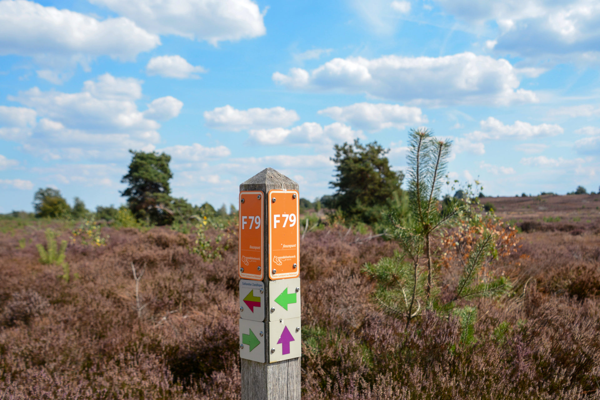 Pflock mit Schild und Landschaft in der Nähe von Deventer