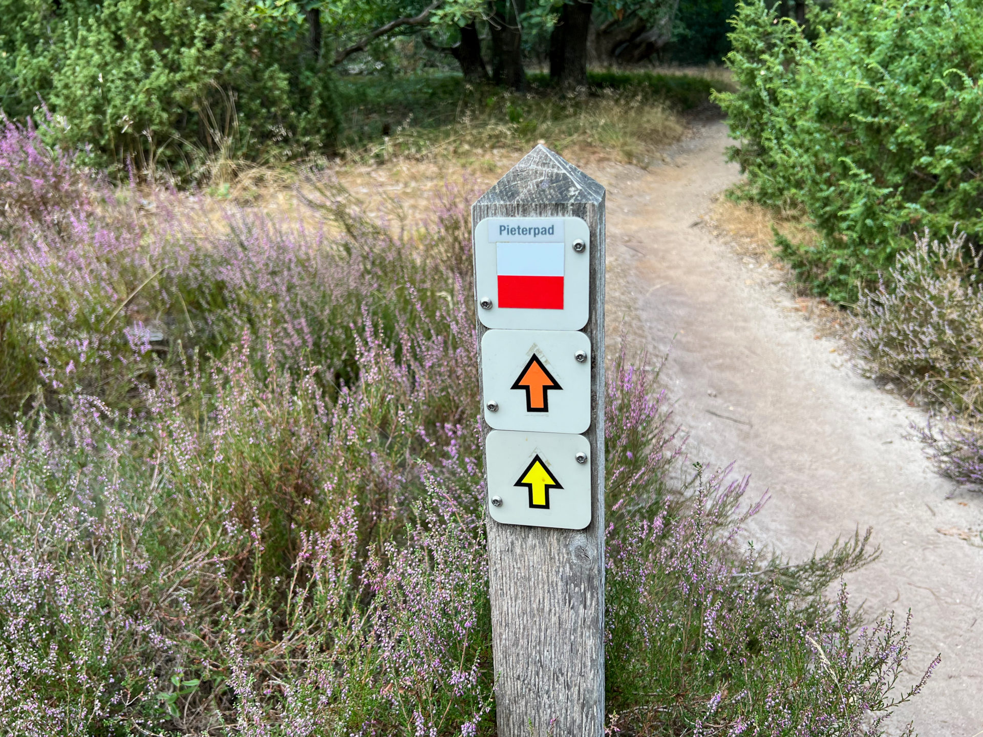 Schild für den Wanderweg Pieterpad am Sallandse Heuvelrug in den Niederlanden