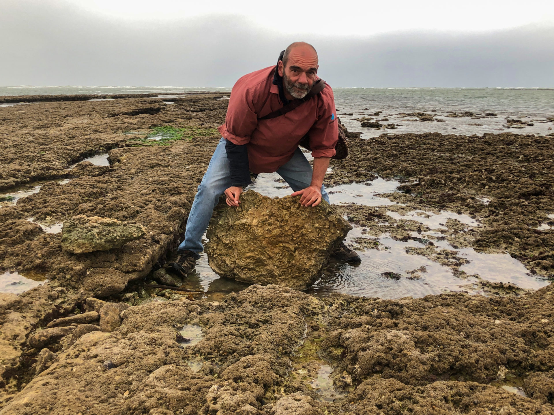 Meeresbiologe Jean-Baptiste Bonnin auf der Suche nach Muscheln und Schalentieren