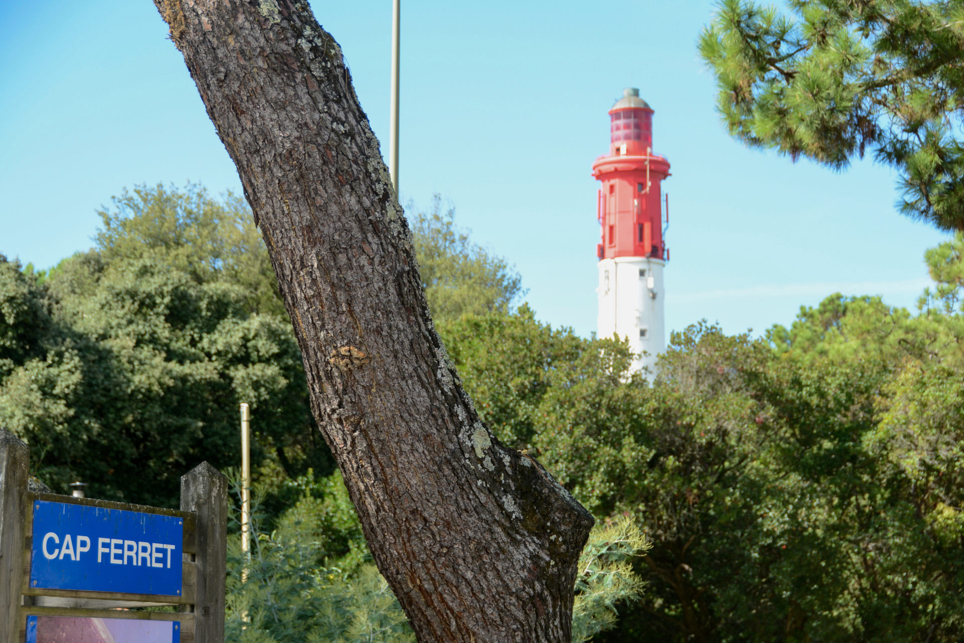 Leuchtturm und Nadelbaum in Cap Ferret