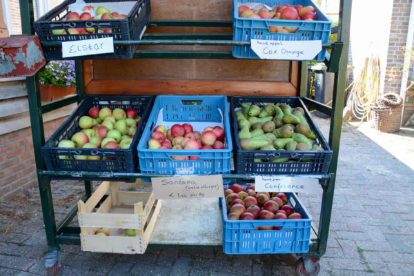 Regale voller Äpfel und Birnen auf dem Obsthof de Hoenderik in Gelderland