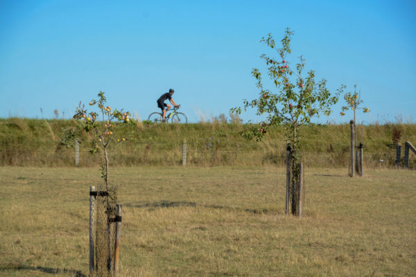 Rennradfahrer auf dem Deich des Lek im Rivierenland