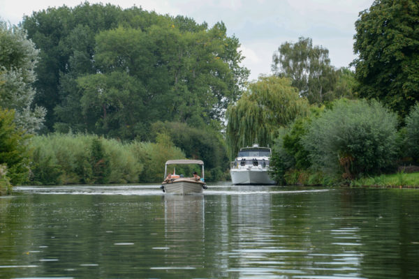Zwei Boote durchdringen das Dickicht am Ufer der Linge