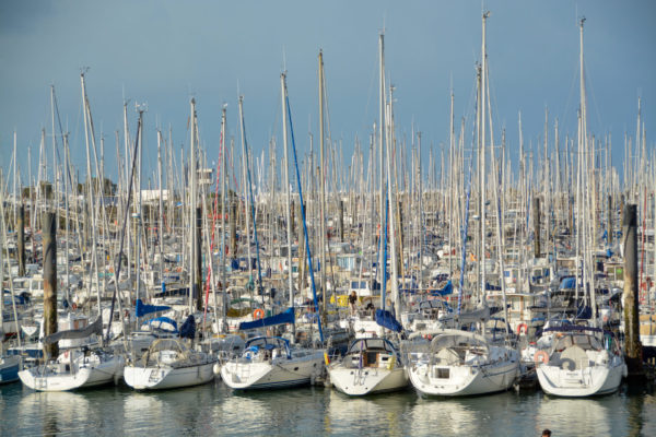Ein Wald aus Masten von Segelbooten in La Rochelle