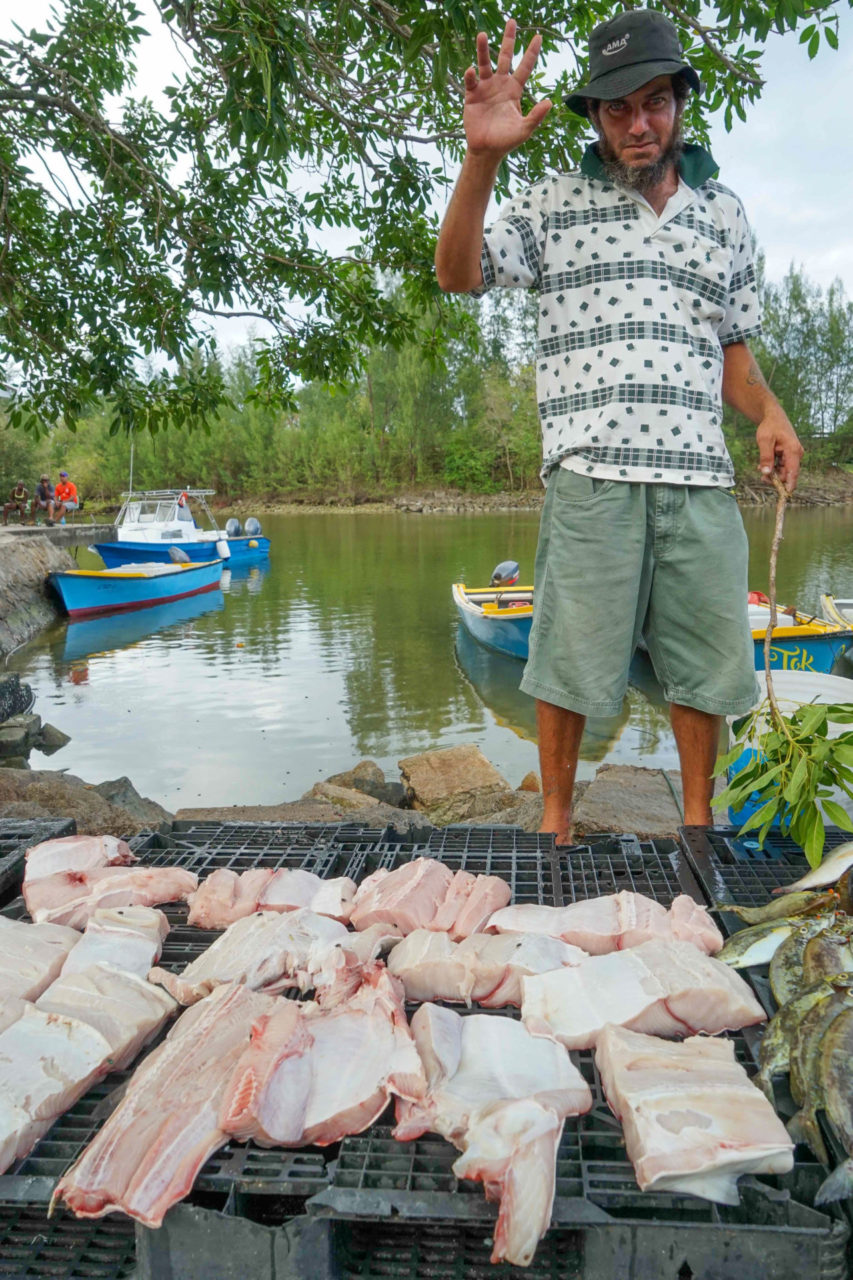 Ein Fischer auf den Seychellen grillt einen zerlegten Hammerhai