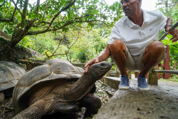 Mann mit Schildkröte im Jardin du Roi auf den Seychellen