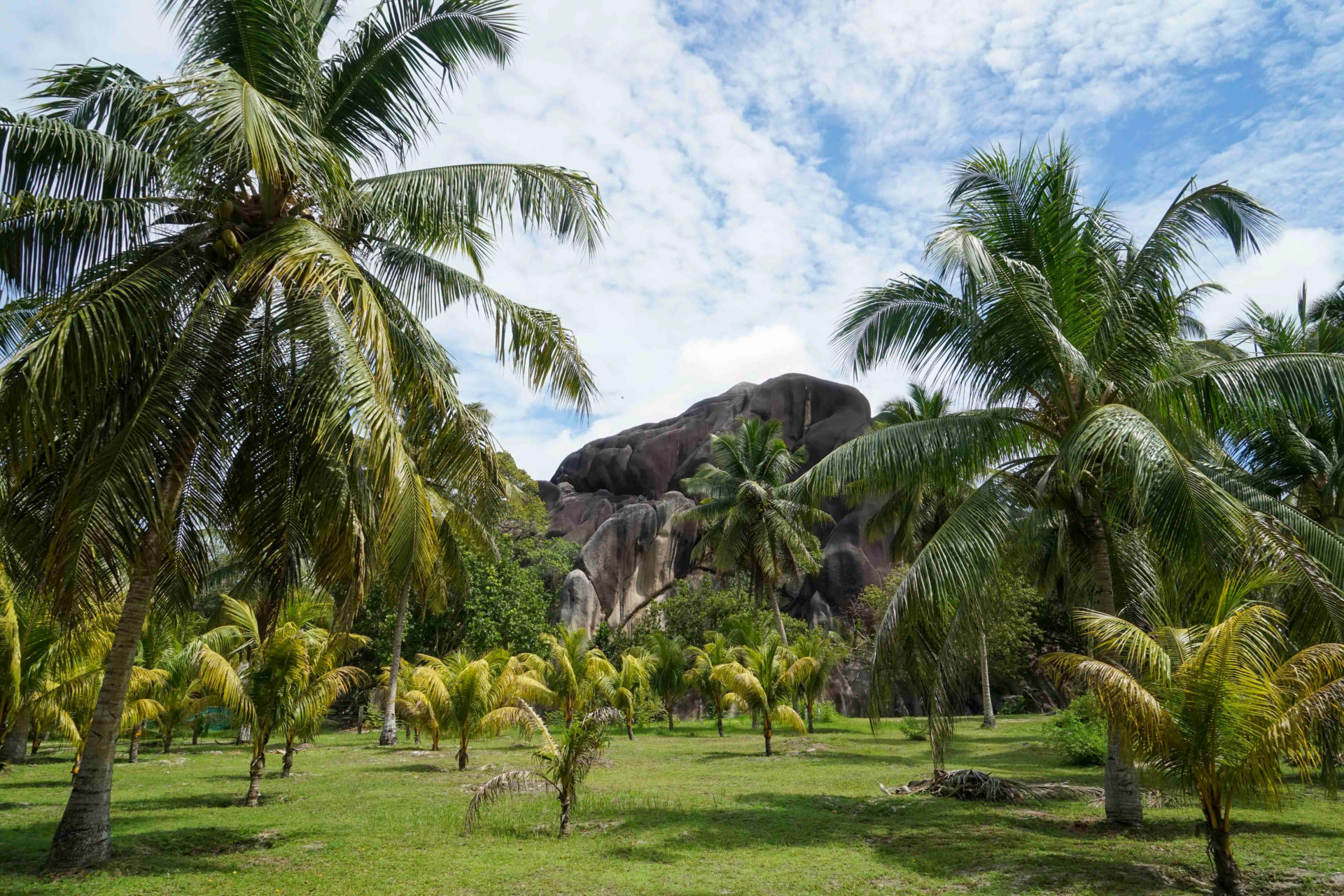 Steinformationen und Palmen im Naturschutzgebiet La Digue auf den Seychellen