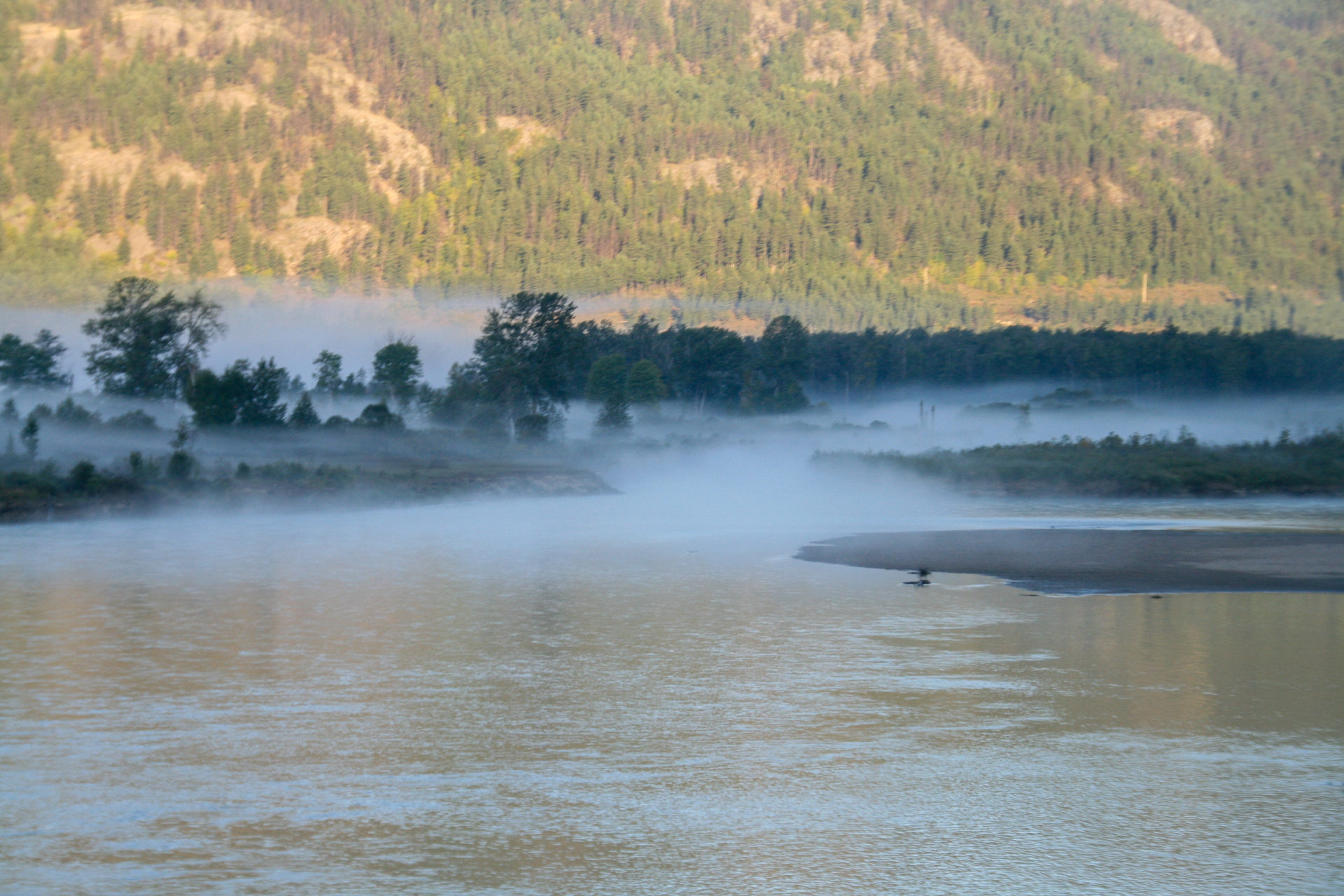 Nebel über einem Fluss in British Columbia