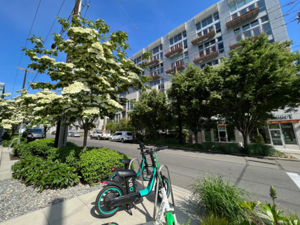 E-Bikes sind ein tolles Verkehrsmittel für den Städtetrip nach Seattle