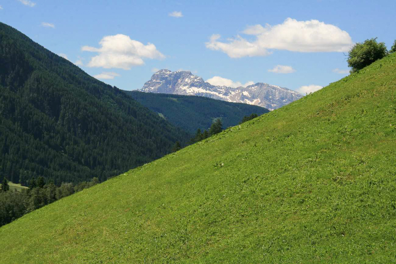 Bergwiese mit Panorama bei Bad Solomonsbrunn in Südtirol