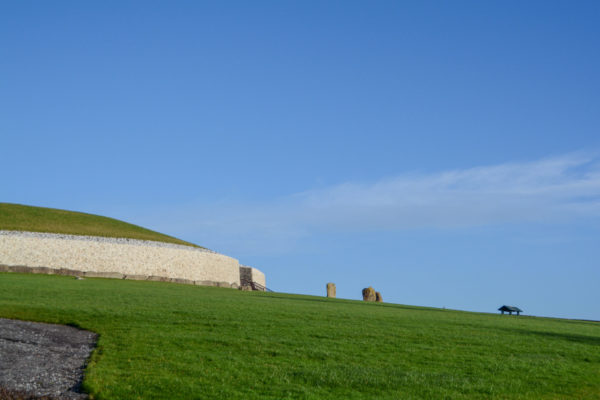 Hinkelsteine neben Hügelgrab auf saftig grüner Wieser im irischen Newgrange