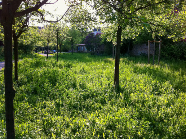 Der schöne Comeniusgarten in Neukölln ist eine grüne Oase