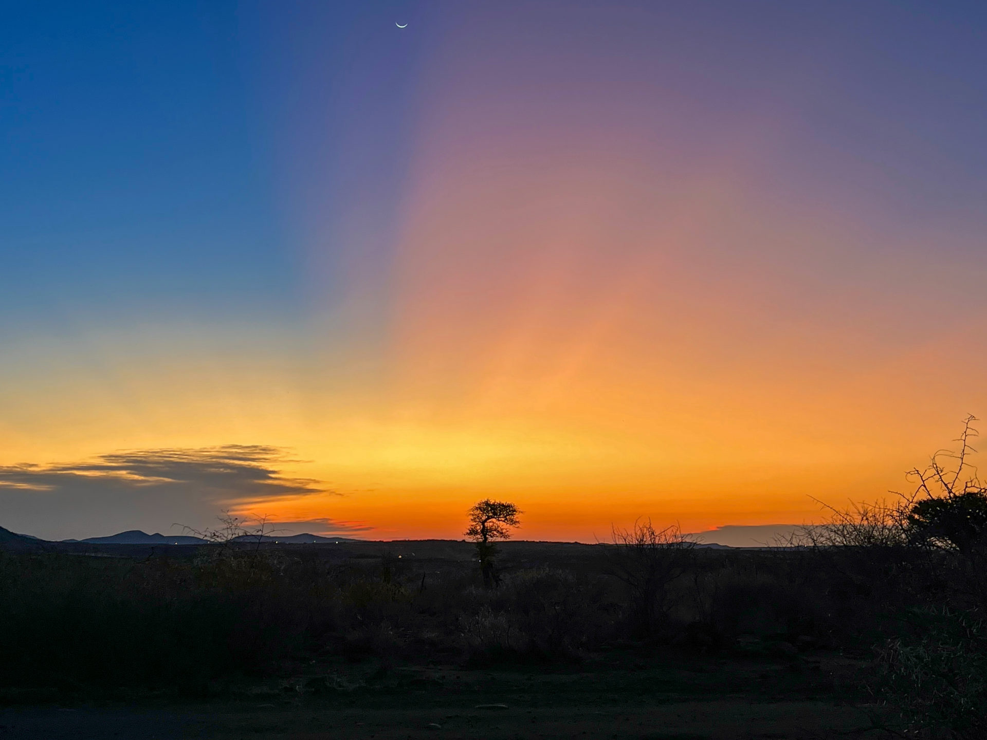 Orange-blaues Farbenspektrum beim Sonnenuntergang in Pilanesberg