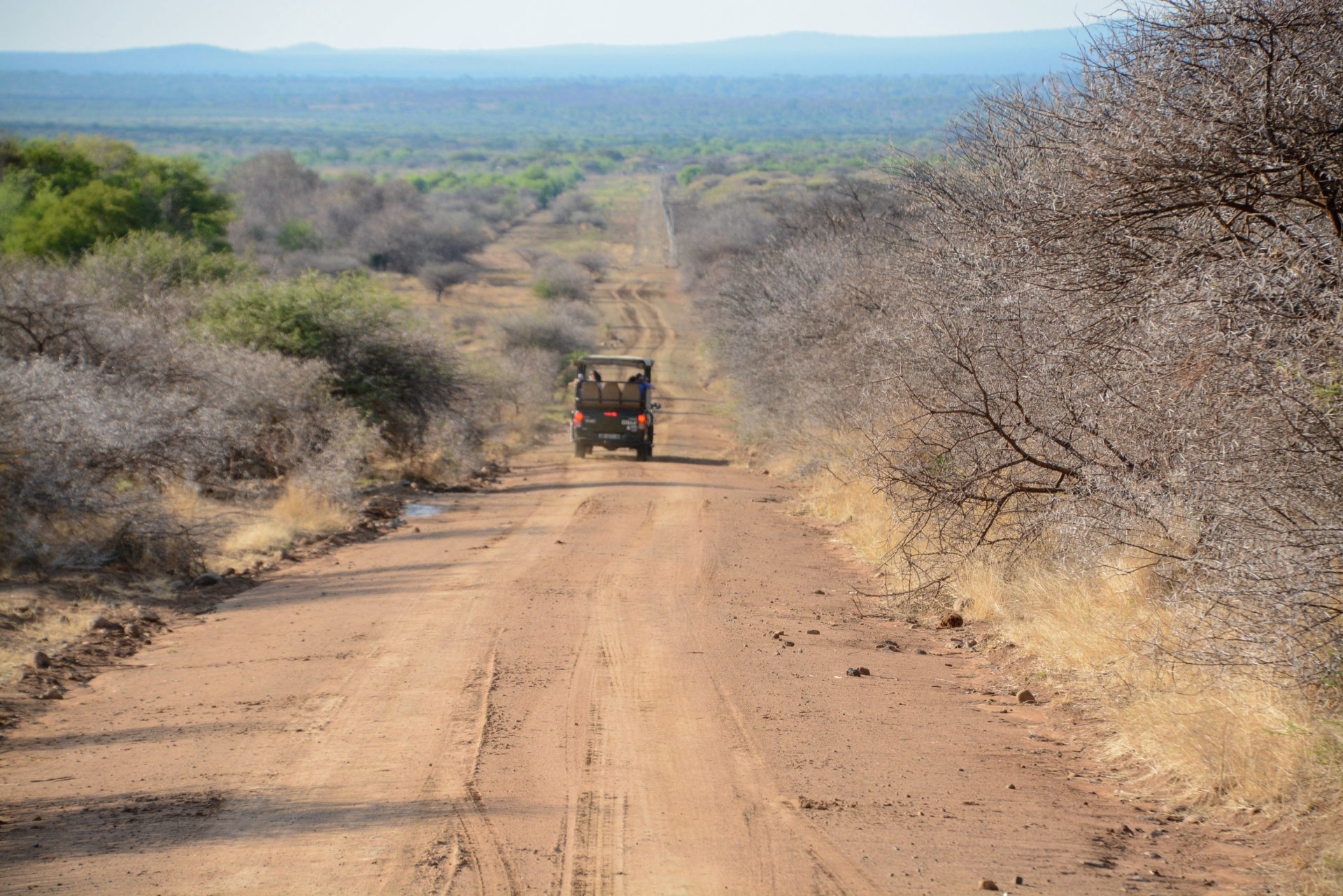 Ein Safari-Wagen bahnt sich seinen Weg über eine Schotterpiste im Pilanesberg Nationalpark