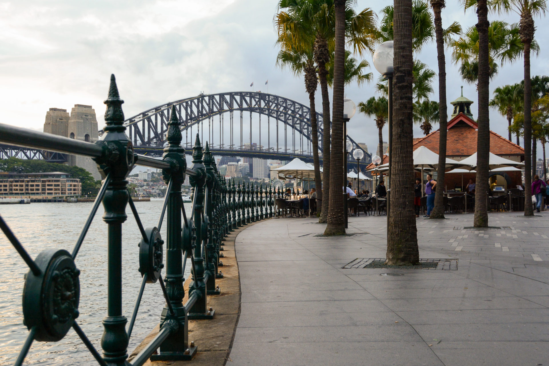 Uferpromenade in Sydney mit Palmen, Hafen und Brücke