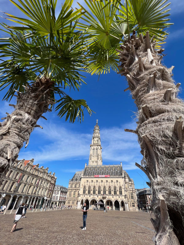 Palmen auf der Place des Héroes von Arras mit Rathaus im Hintergrund