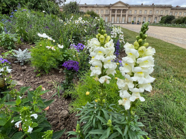 Blumen im Schlosspark von Compiegne mit Schloss im Hintergrund