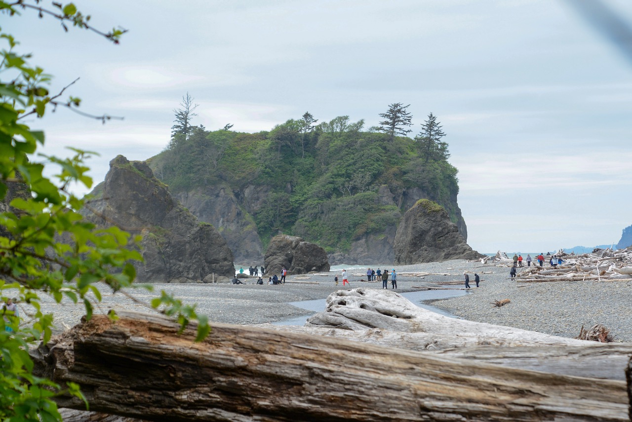 Totholz am Ruby Beach in Washington State mit einer Insel im Ozean