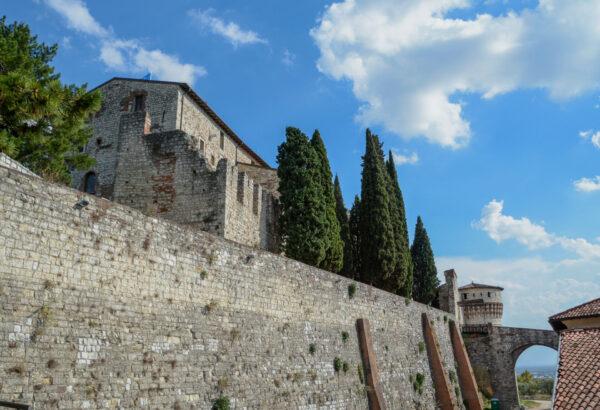 Zypressen im Castello von Brescia