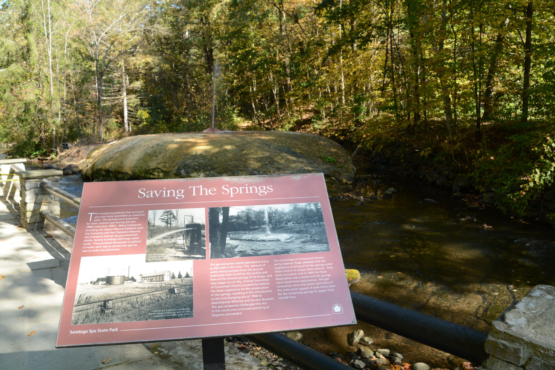 Quelle im State Park von Saratoga Springs