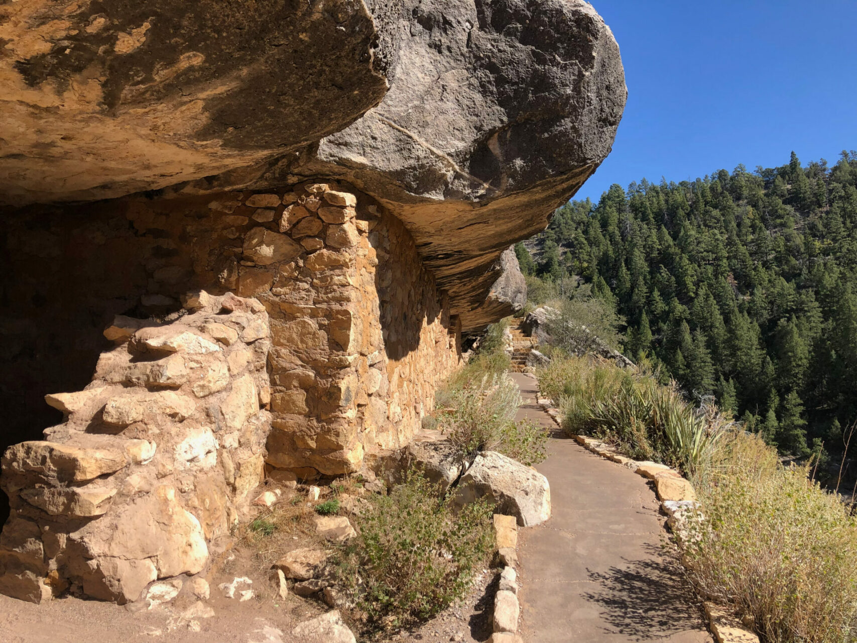 Felsbehausung im Walnut Canyon an einem sonnigen Tag